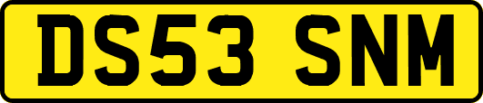 DS53SNM