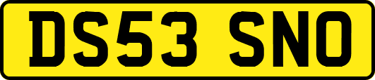 DS53SNO