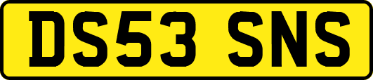 DS53SNS