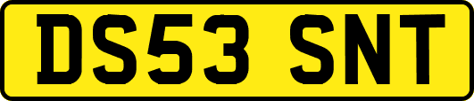 DS53SNT