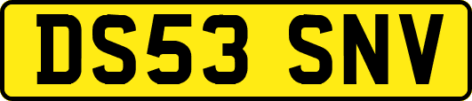 DS53SNV
