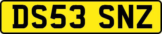 DS53SNZ