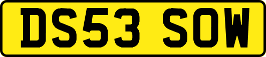DS53SOW