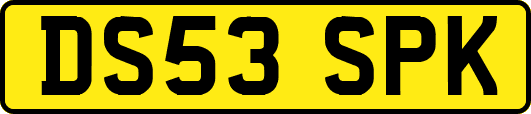 DS53SPK