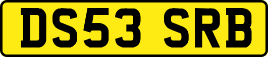 DS53SRB