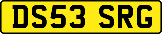 DS53SRG