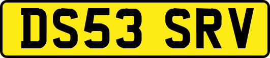 DS53SRV