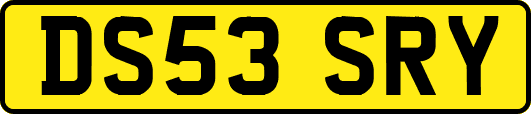 DS53SRY
