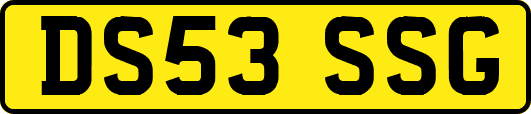DS53SSG