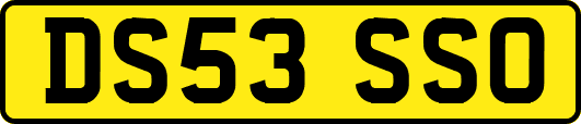 DS53SSO