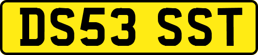 DS53SST