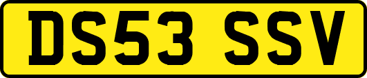 DS53SSV
