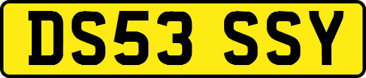 DS53SSY