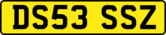 DS53SSZ