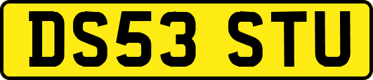 DS53STU