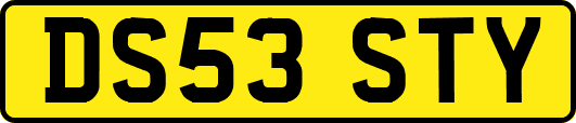 DS53STY