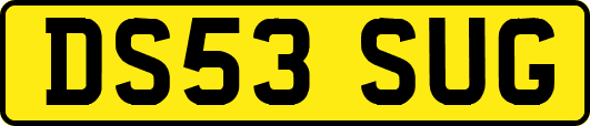 DS53SUG