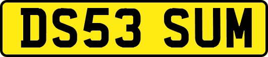 DS53SUM