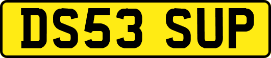 DS53SUP