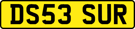 DS53SUR