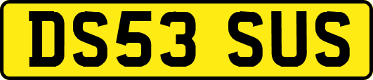 DS53SUS