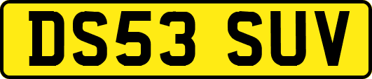 DS53SUV