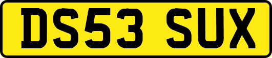 DS53SUX