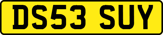 DS53SUY