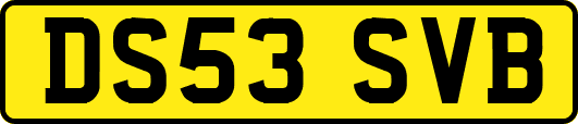 DS53SVB