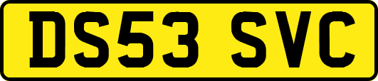 DS53SVC