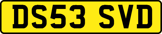 DS53SVD