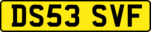 DS53SVF
