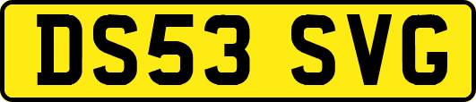 DS53SVG