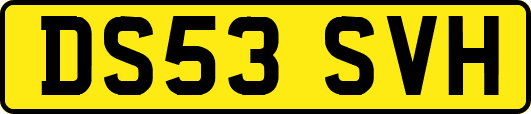 DS53SVH