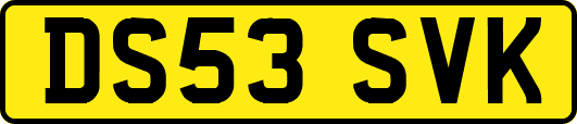 DS53SVK
