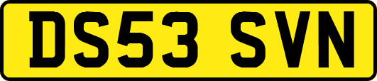 DS53SVN