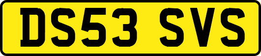 DS53SVS