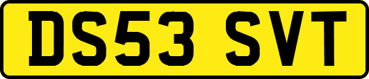 DS53SVT
