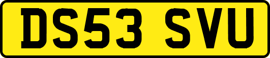 DS53SVU