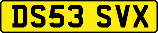 DS53SVX