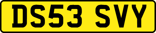 DS53SVY