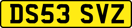 DS53SVZ