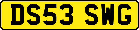 DS53SWG