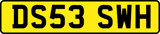 DS53SWH
