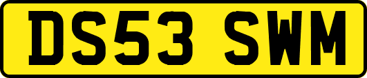DS53SWM