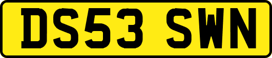 DS53SWN