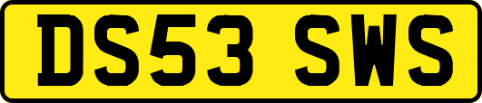 DS53SWS