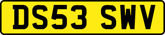 DS53SWV