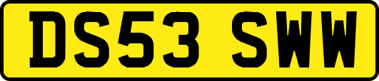 DS53SWW