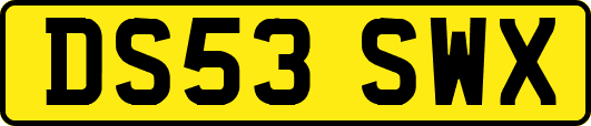 DS53SWX